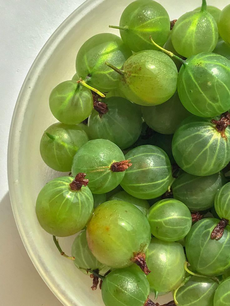 Sun-Kissed Gems: Artisanal Selection of Berries