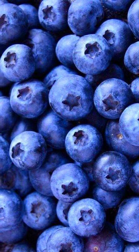 Farmer's Pride: Hand-Selected Berry Indulgence