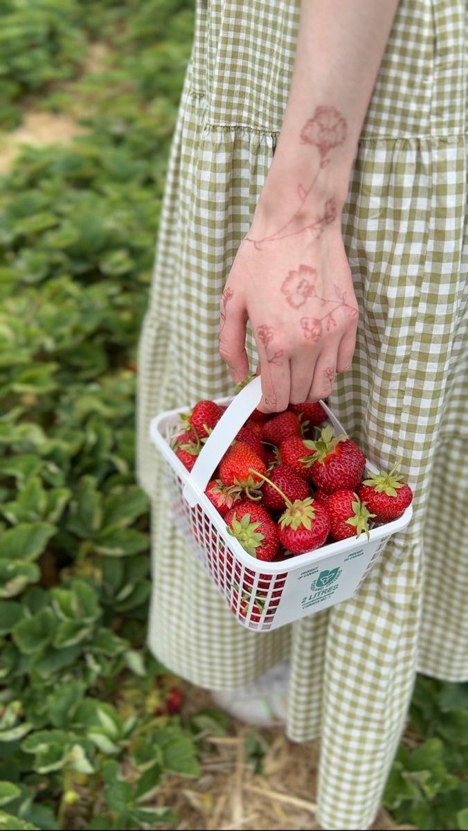 Rural Bliss: Exquisite Farm-Fresh Berry Assortment